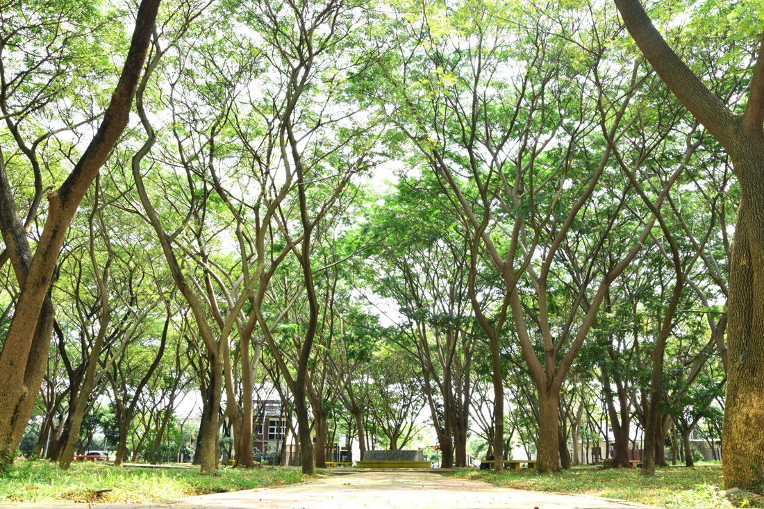 City Forest di Mentland Menteng