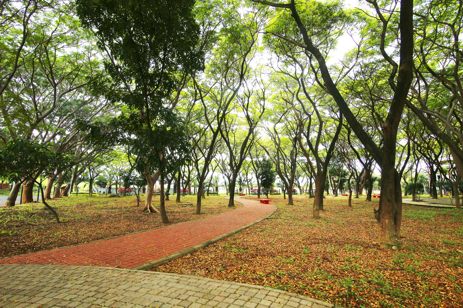 Hutan Kota 1 Hektar